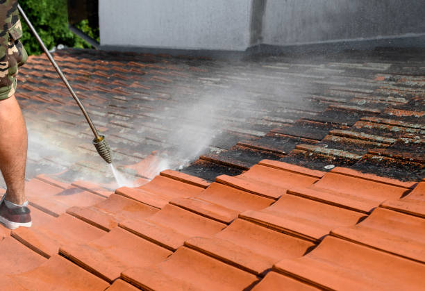 Best Residential Pressure Washing Services  in Swannanoa, NC